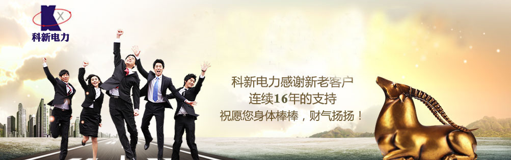 高壓試驗(yàn)變壓器，串聯(lián)諧振，微機(jī)繼電保護(hù)測(cè)試儀，武漢科新電力